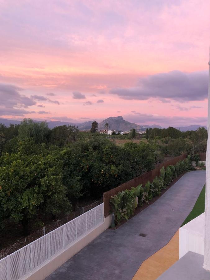 Sunny Apartment In Denia With Outdoor Swimming Pool And Garage Parking Place Included, 300M From The Sandy Beach מראה חיצוני תמונה